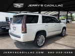 2019 Cadillac Escalade Platinum Edition
