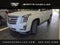 2019 Cadillac Escalade Platinum Edition